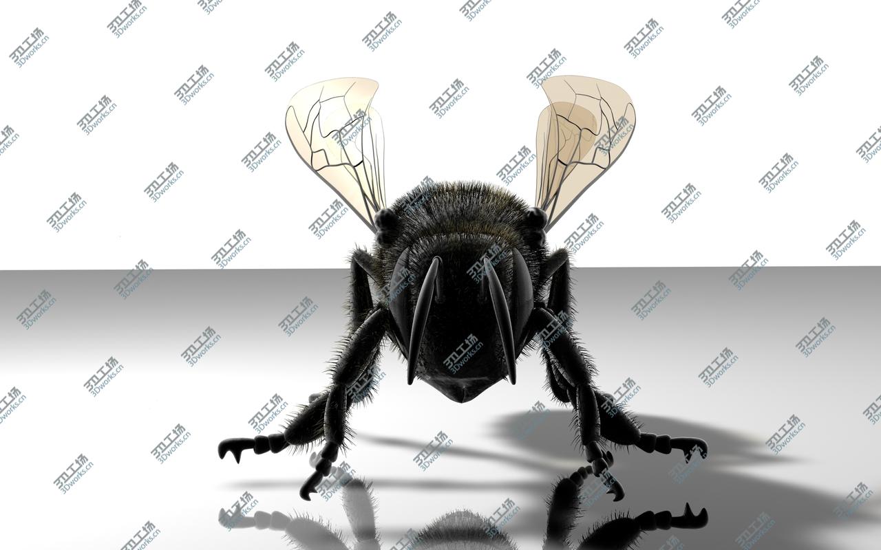 images/goods_img/2021040162/Bee 3D model/3.jpg